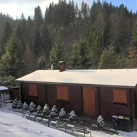 Drevenice Lodge *